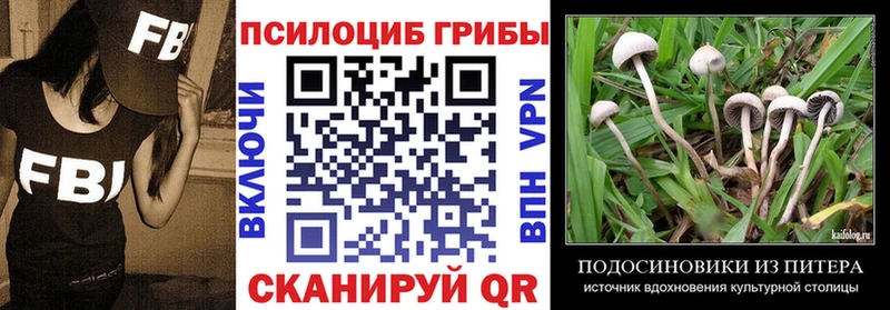 Псилоцибиновые грибы Cubensis Хвалынск